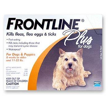 Frontline Plus for Dogs 1-22 lbs.